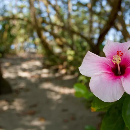 Gitana Del Mar Beach Retreat-2